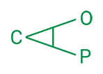 CAOP_logo-groen